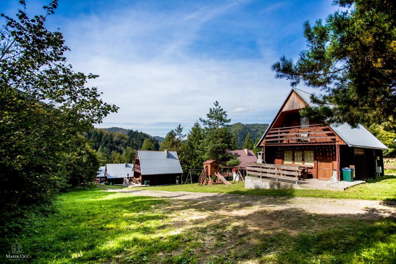 Vila Cichy Zakatek Cisna Exteriér fotografie